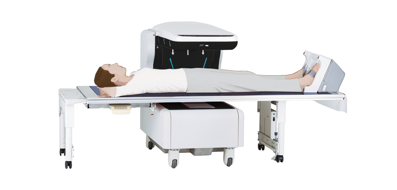 DEXA法測定の様子